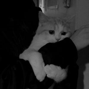 ทำเต็มที่แต่ไม่ดีสักอย่าง (feat. KINX-DOM & LIL FN)