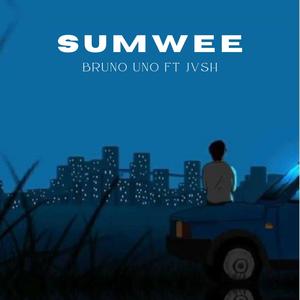 SUMWEE (feat. JVSH) [Explicit]