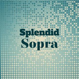 Splendid Sopra