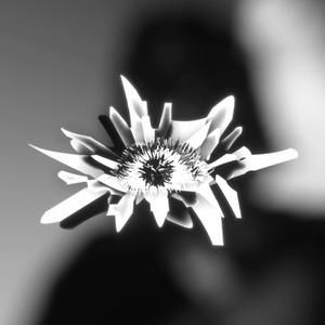 pupil (glowop Throwaway) (Explicit)