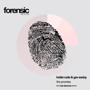 The Promise (Luis Damora Remix)