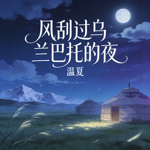 风刮过乌兰巴托的夜