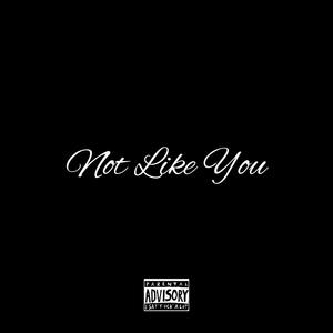 Not Like You (Explicit)