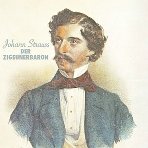 Johann strauss: der zigeunerbaron (Vol. 2)