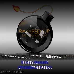 Torn Apart (Original Mix)