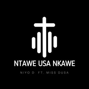 NTAWE USA NAWE (feat. MISS DUSA)