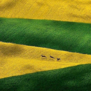 About Me(Alt Intro) (Explicit)