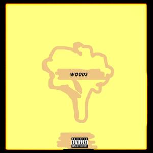 Woods (Radio Edit)