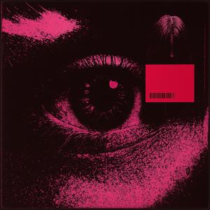 Pink Rocks (Explicit)