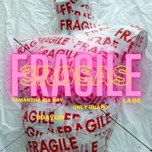 Fragile (feat. Samantha All Day, Only Guapo, La OG & odavgm) [Explicit]