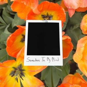 Somewhere In My Mind