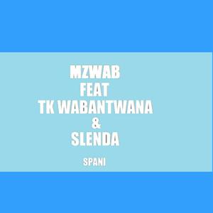 Spani(feat. TK Wabantwana & Slender) (Radio Edit)