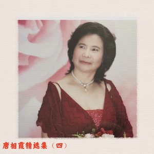 思念陪着鸿雁飞 (女声版)