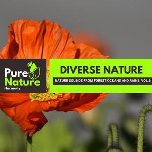 Diverse Nature - Nature Sounds from Forest Oceans and Rains, Vol.6