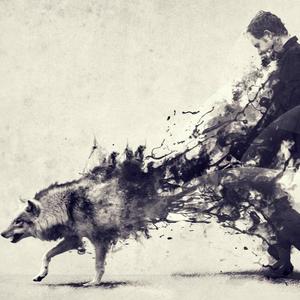 Lobo Solitário (Mensagens de Reflexão)