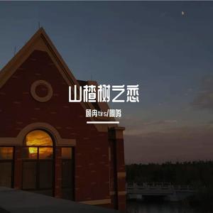 山楂树の恋