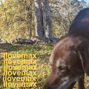 charlottes web (Explicit)