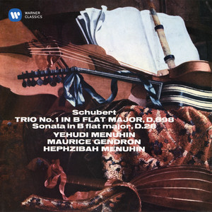 Schubert: Piano Trio No. 1 in B-Flat Major, Op. 99, D. 898 - II. Andante un poco mosso