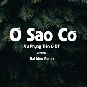 Ơ Sao Cơ (Đại Mèo Remix)