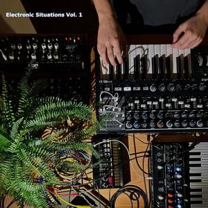 Electronic Situations, Vol. 1