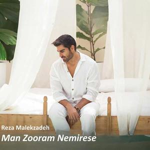 Man Zooram Nemirese