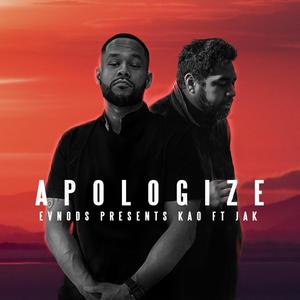Apologize (Explicit)
