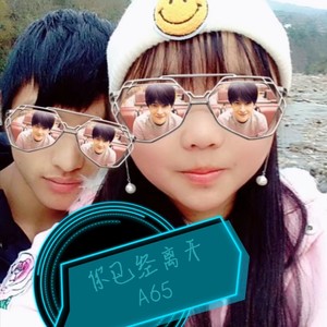 A65 - 你已经离开 (抒情版)