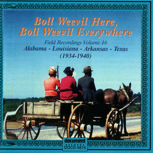 Boll Weevil Here, Boll Weevil Everywhere Vol. 16 (1934 - 1940)