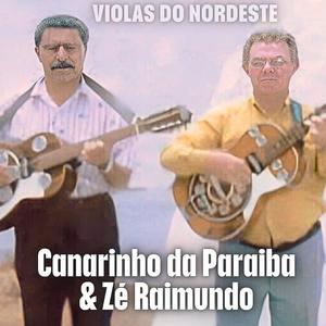 Canarinho da Paraíba - Vultos Eternizados