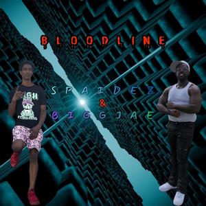 BloodLine (feat. Spaidez) (Explicit)