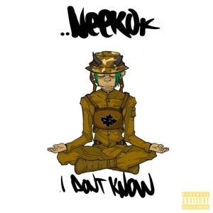 I DON'T KNOW (Explicit)