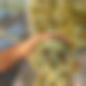 Baby Yoda (Explicit)