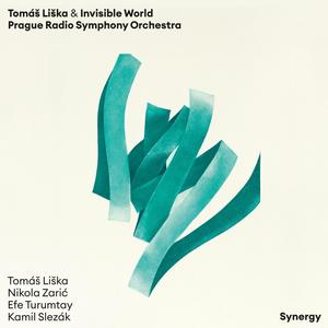Dunga Runga (feat. Efe Turumtay, Nikola Zarić, Kamil Slezák & Prague Radio Symphony Orchestra) (Radio Edit)