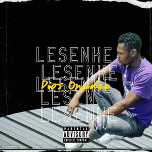 Lesenke (Radio Edit)