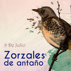 Zorzales de Antaño…9 De Julio