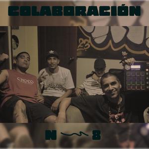 Colaboración N8