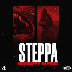 Steppa