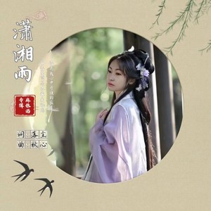 潇湘雨 (Live)