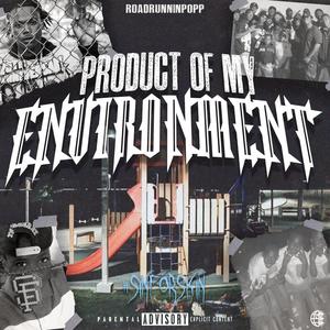 Product of My Environment (Explicit)