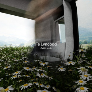 Fe Lyncodd