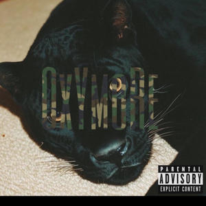 Elle veut (feat. S0ro) (Explicit)