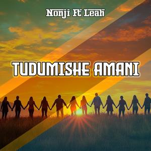 Tudumishe Amani (feat. Leah) (Explicit)