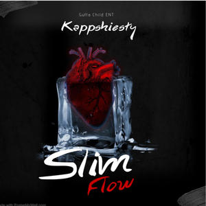 Slim Flow (Explicit)