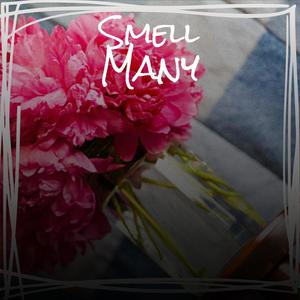 Smell Many