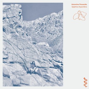 Turning into Dolphins