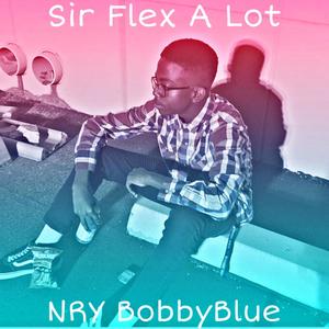 Sir Flex A Lot