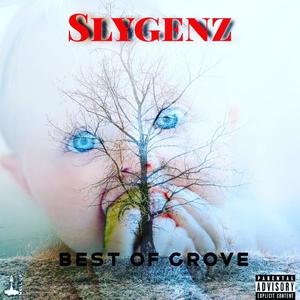 Best of Grove (Mr Wassy Story) [Explicit]