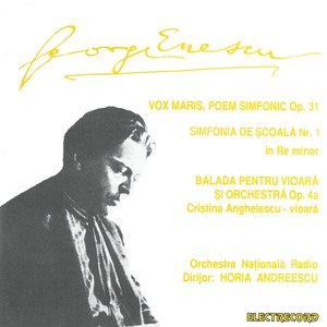 Simfonia de şcoală No. 1 in D Minor in D Minor - Simfonia de şcoală nr. 1 în Re minor, Allegro con fuoco