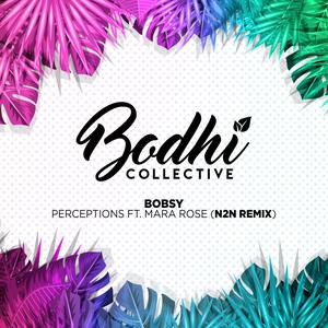 Perceptions ft. Mara Rose (N2N Remix)