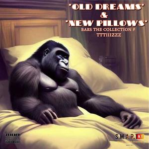 OLD DREAMS NEW PILLOWS (Explicit)